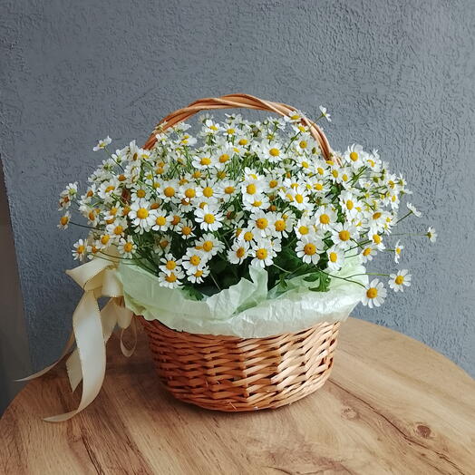 Воздушная корзина с ромашкой