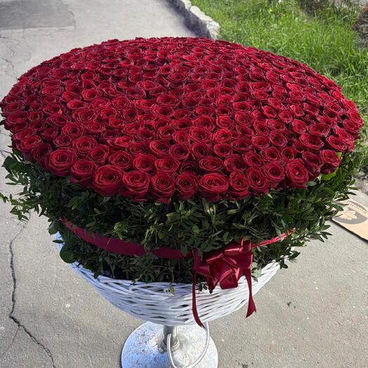Корзина из 301 красной розы