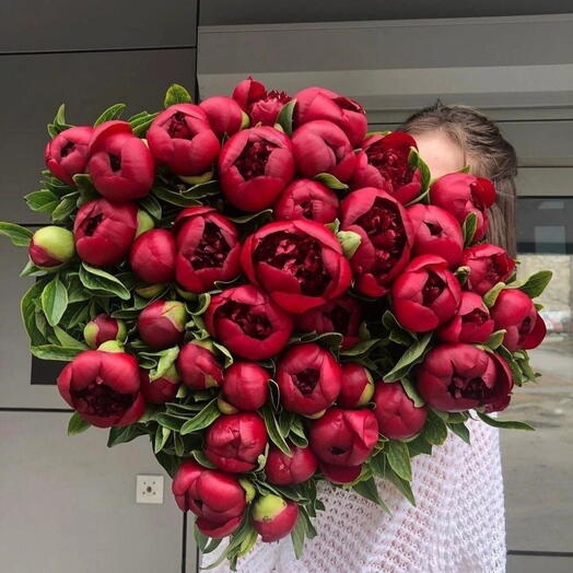 Шикарный букет из 49 бордовых пионов