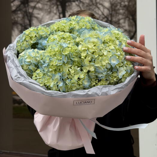 Букет из 7 зелено-голубых гортензий