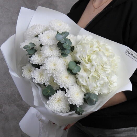 Hydrangea white
