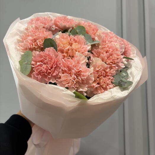 Нежные прекрасные диантусы 🌸