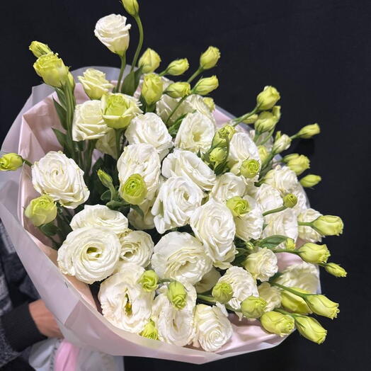Maison Eustoma Blanche 🤍