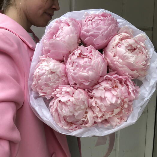 Пионы крупные нежно-розовые пионы