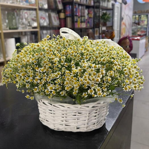 Корзина ромашки XL