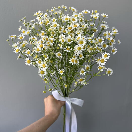 Монобукет без упаковки из 5 веток ромашек🌼