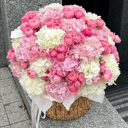 Big hydrangea basket