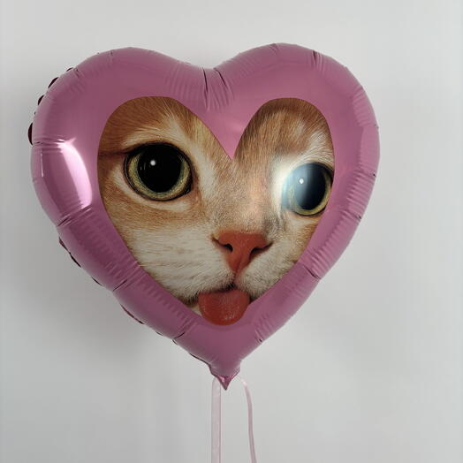 Шар сердце с котенком