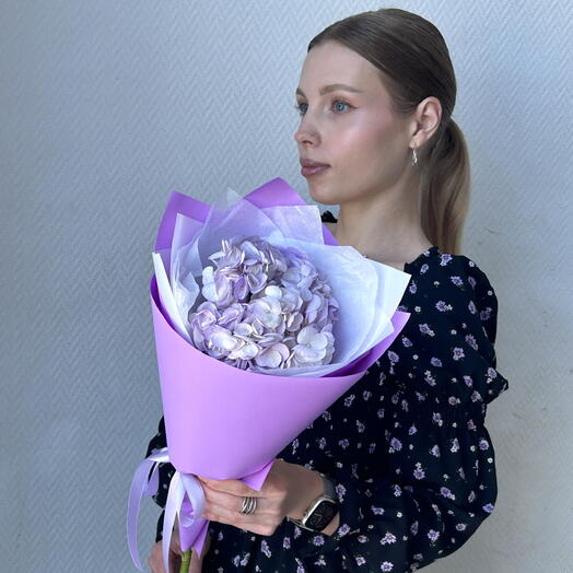 Гортензия сиреневая