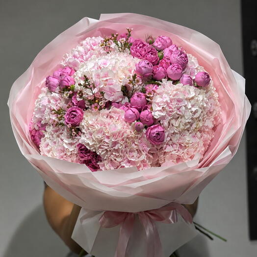 Hydrangea Blush