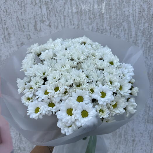 Хризантемы белые ромашки