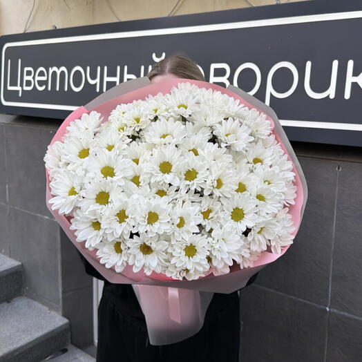 Букет Хризантема ромашковая 🌸🌸🌸
