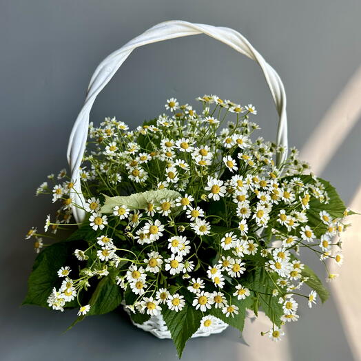 Корзина с ромашками