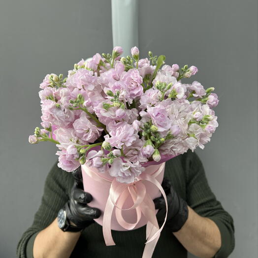 Нежная Розовая Маттиола в шляпной коробке 🌸