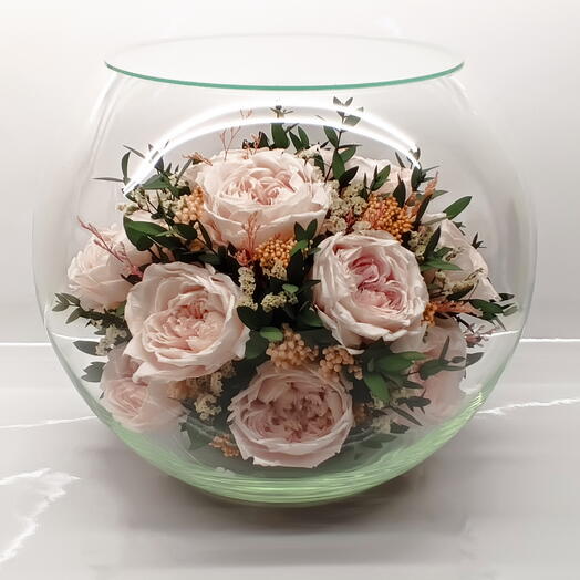 Натуральные пионы в стекле, вакуум (RF2.25500Re)