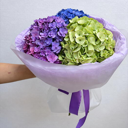 «Акварельное настроение» ( гортензия )