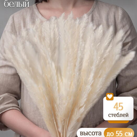 Пампас мини белый 45 шт. Высший сорт М265