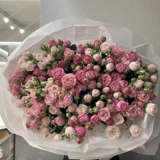 Spray Rose