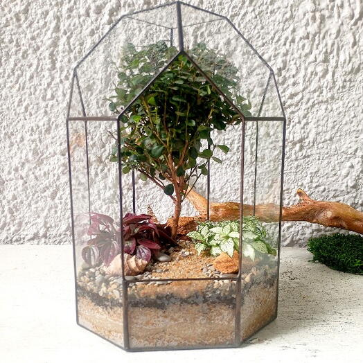 Florarium "Clásico"