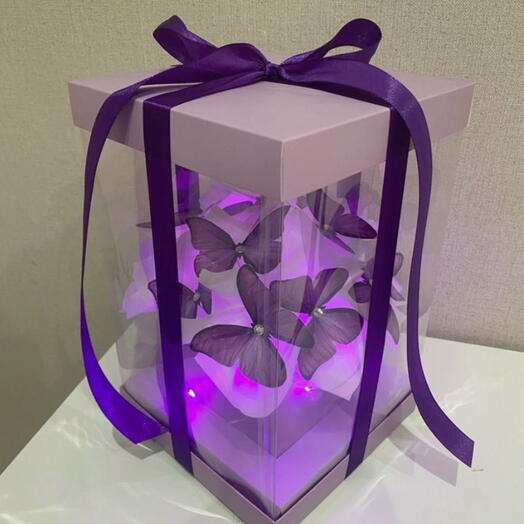 Бабочки 🦋 в коробке аквариум