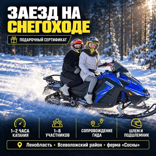 Подарочный сертификат «Заезд на снегоходе» (1 час, 1-2 человека)