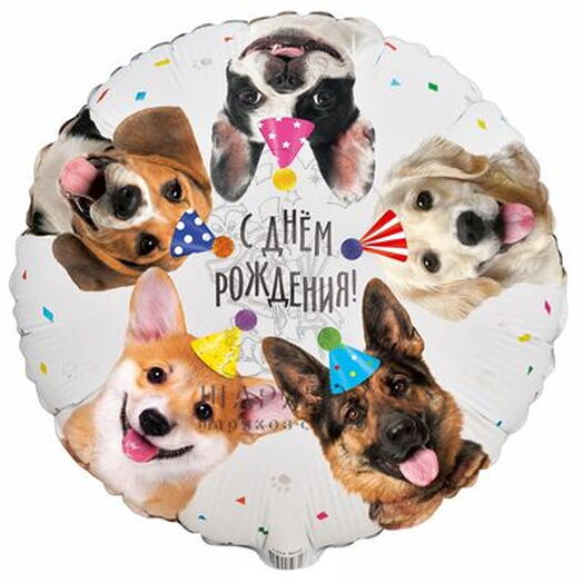 шар с собаками