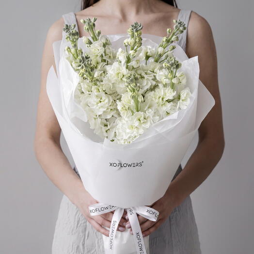 Букет из 7 белых маттиол от XOFLOWERS