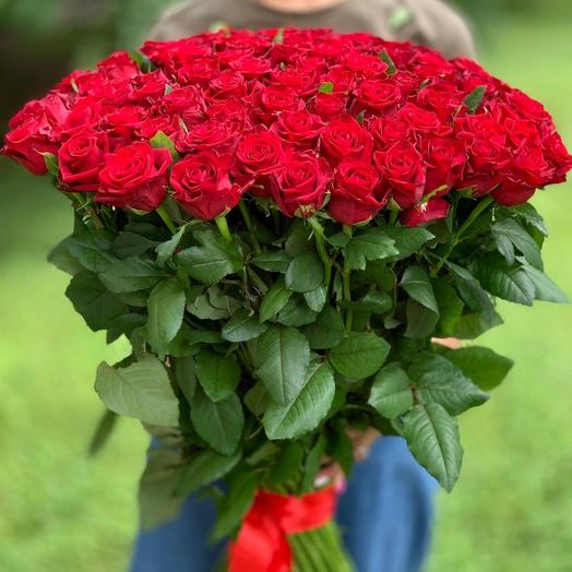 101 red