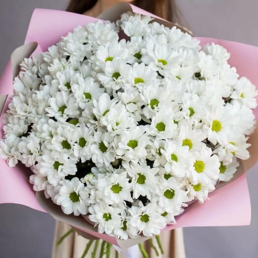 Акция🌷🌷🌷Ромашкино поле