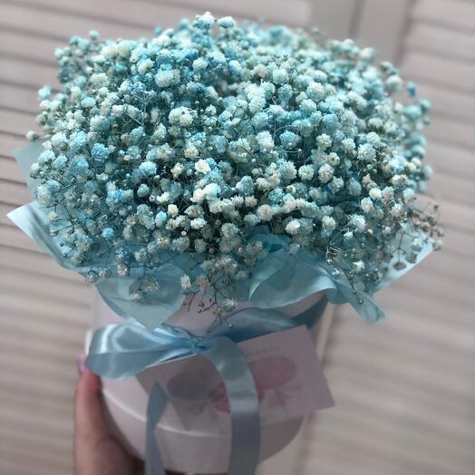 Blue Gypsophila