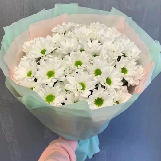 Любимые ромашки