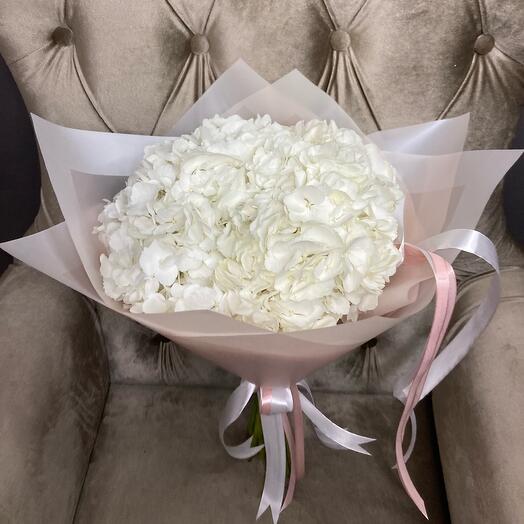 Hydrangea 5 pcs