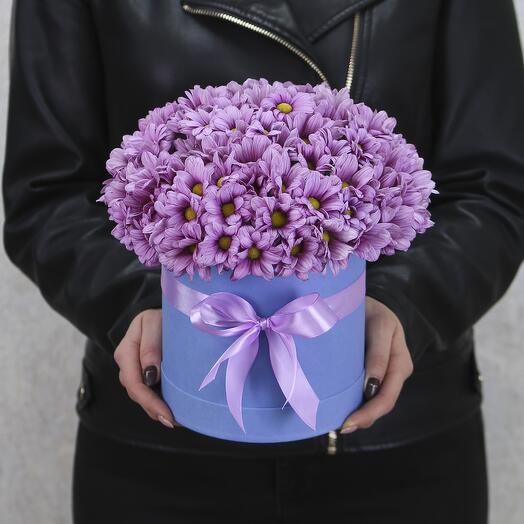 Delicate lilac bush chrysanthemum in a blue Magic box