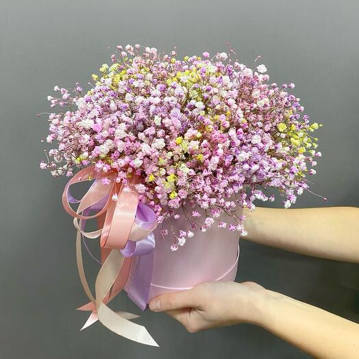 Caja de gypsophila