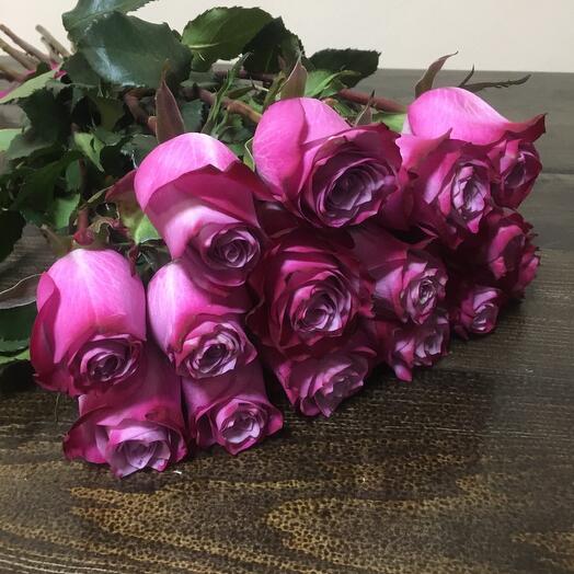 15 lilac roses 60 cm