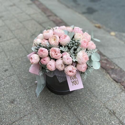 Mansfield Park Gray Box