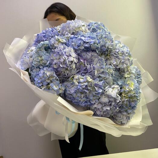 Ramo de Hortensias