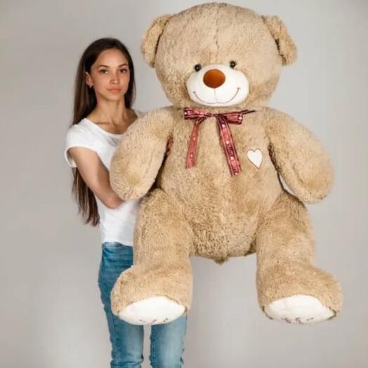Bear 150 cm