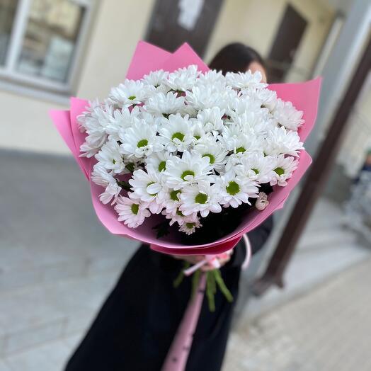 Хризантемы в розовом