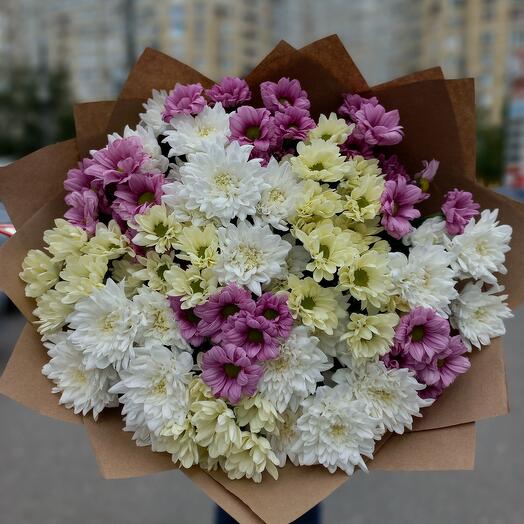Хризантема