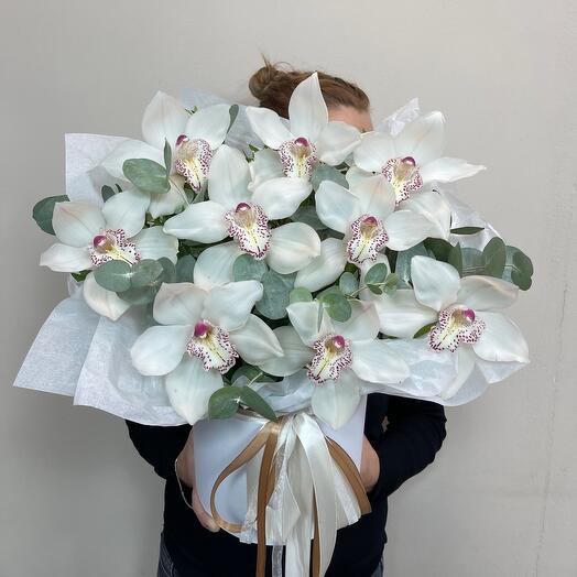 Orquídea blanca con eucalipto en una Caja 🤍