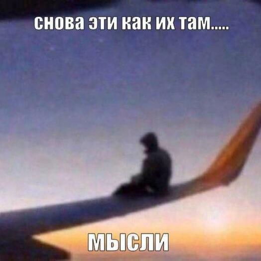 Тест