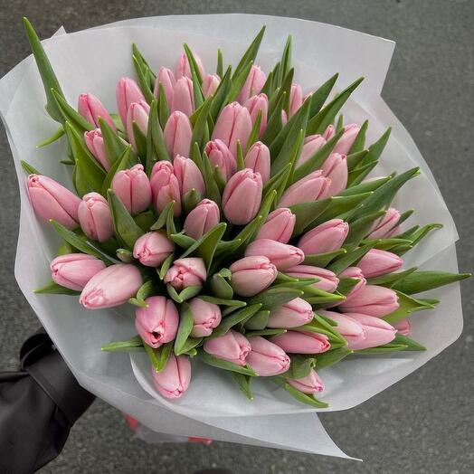 The delicate tulip
