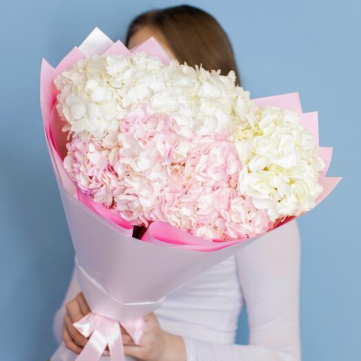 Bouquet of pink and white Hydrangeas 5 pcs