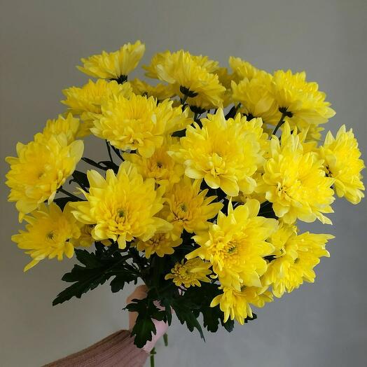 Букет желтых хризантем
