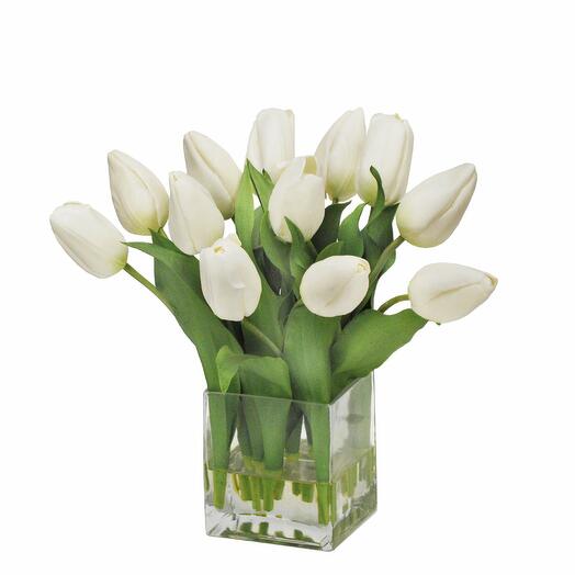 12 White Tulips