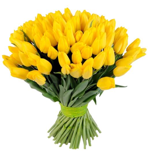 Mono bouquet of 51 tulips