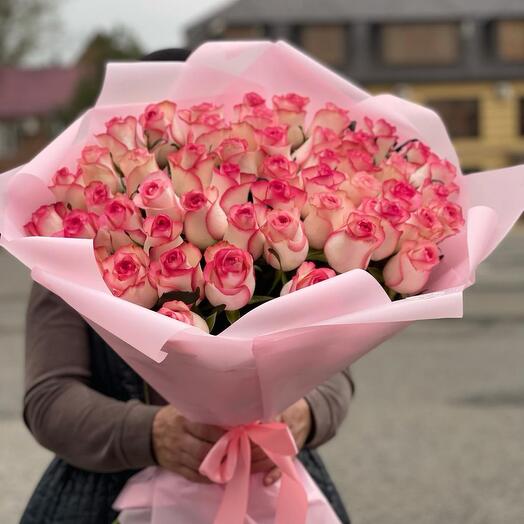 Pink roses🩷🤍
