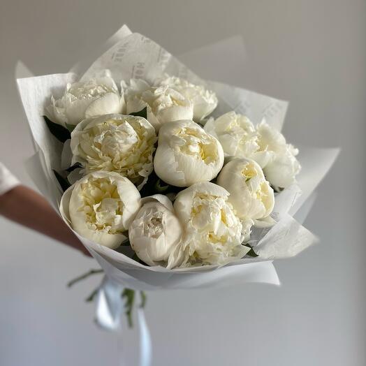 White Peony