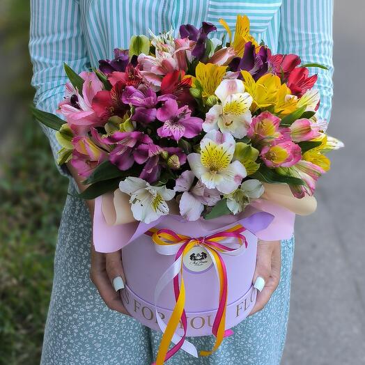 Composition with alstroemeria